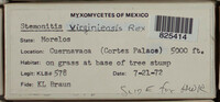 Image Associated With the Occurence
